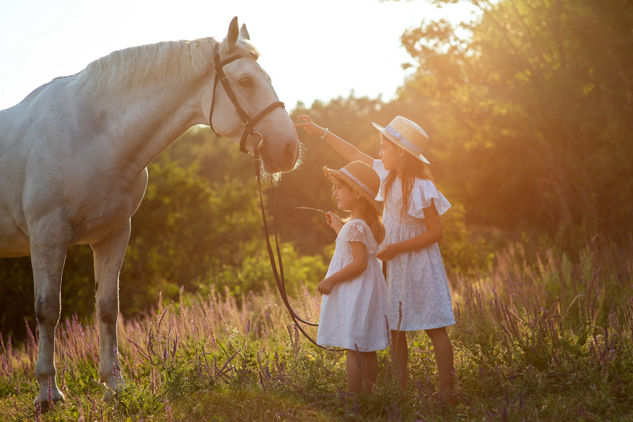 GRAN GALA' EQUESTRE