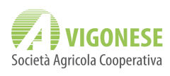 Vigonese Società Cooperativa Agricola