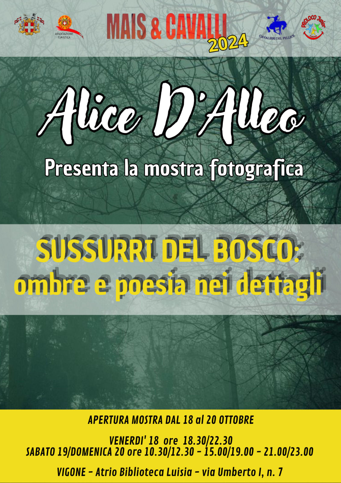 Alice D'alleo